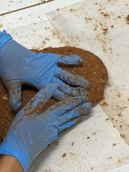 Slika:Kompozit ročno1.jpg